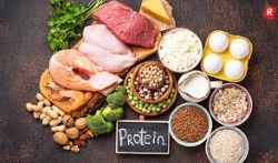 High-Protein Food Market