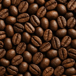 coffee beans market