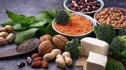 Plant-Based Protein Market