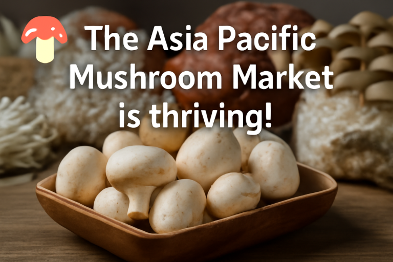 Asia Pacific Mushroom Market Size, Trends and Growth Analysis 2034