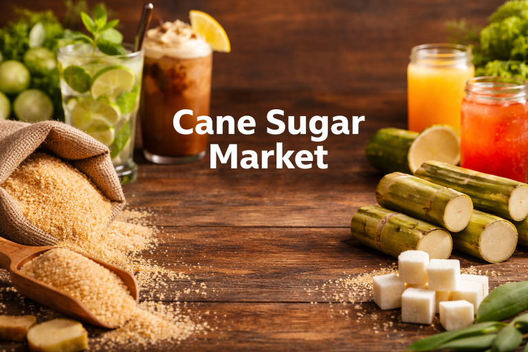 Cane Sugar Market Size, Trends, Share and Innovations 2035