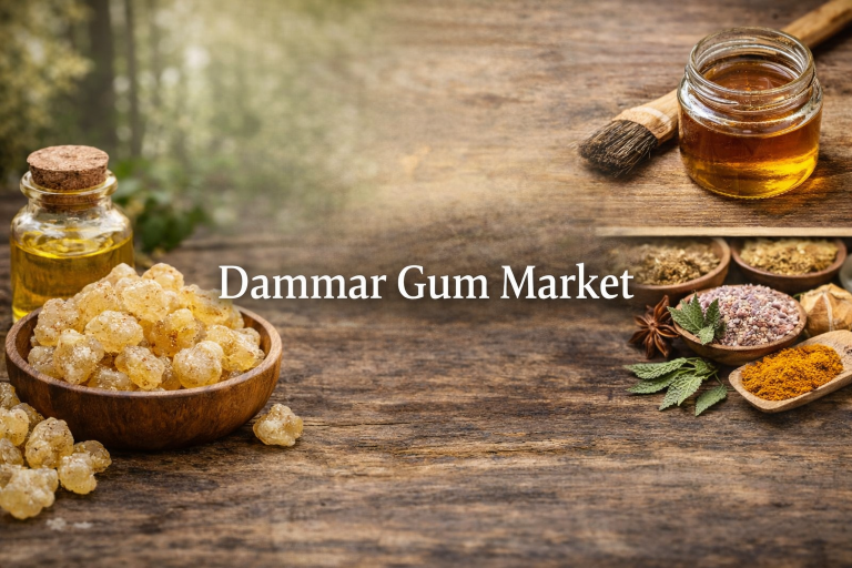 Dammar Gum Market Size, Growth Factors, and Future Opportunities